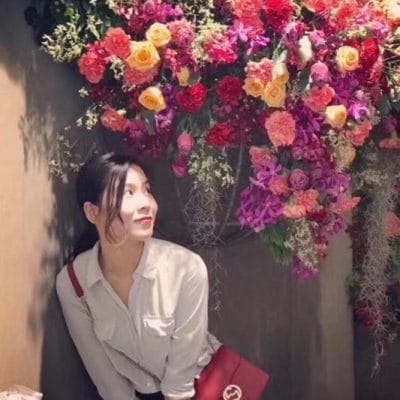 246b2f2a 64bf 4a29 9844 ef010b25dcef